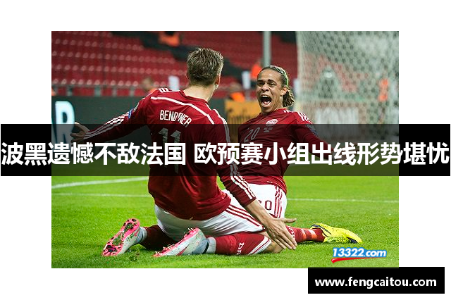 波黑遗憾不敌法国 欧预赛小组出线形势堪忧
