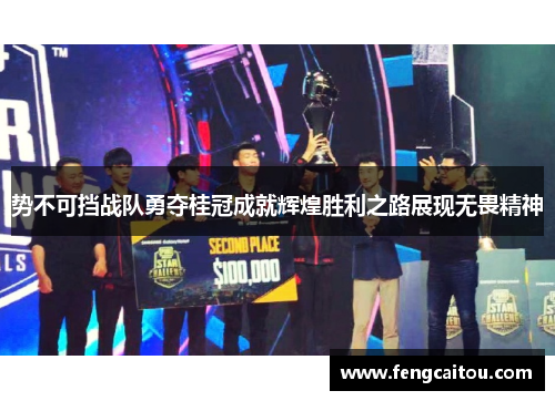 势不可挡战队勇夺桂冠成就辉煌胜利之路展现无畏精神