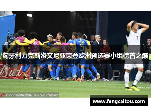 匈牙利力克斯洛文尼亚荣登欧洲预选赛小组榜首之巅