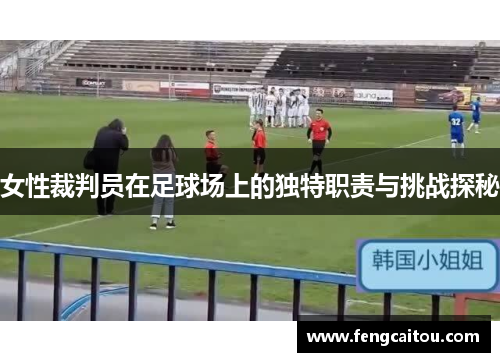 女性裁判员在足球场上的独特职责与挑战探秘