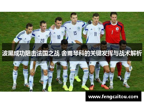 波黑成功阻击法国之战 舍甫琴科的关键发挥与战术解析
