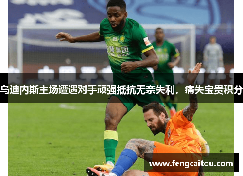 乌迪内斯主场遭遇对手顽强抵抗无奈失利，痛失宝贵积分