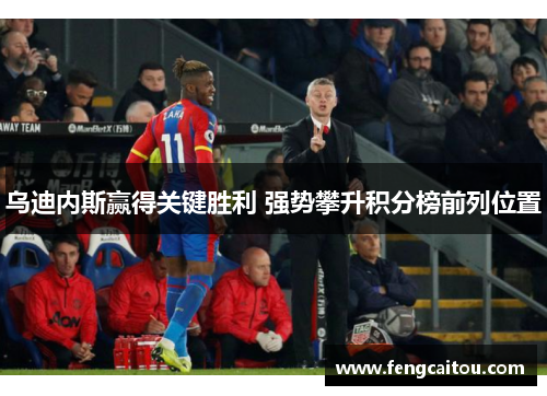 乌迪内斯赢得关键胜利 强势攀升积分榜前列位置