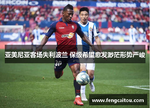 亚美尼亚客场失利波兰 保级希望愈发渺茫形势严峻