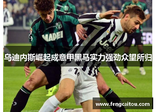 乌迪内斯崛起成意甲黑马实力强劲众望所归