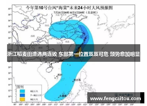 浙江稻麦田遭遇两连败 东部第一位置岌岌可危 颓势愈加明显