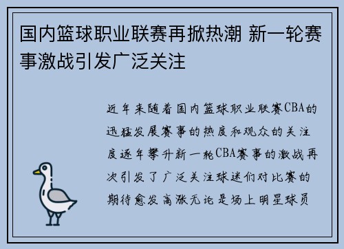 国内篮球职业联赛再掀热潮 新一轮赛事激战引发广泛关注