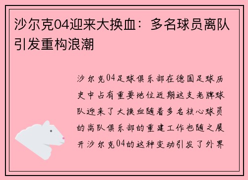 沙尔克04迎来大换血：多名球员离队引发重构浪潮