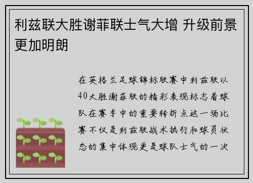 利兹联大胜谢菲联士气大增 升级前景更加明朗